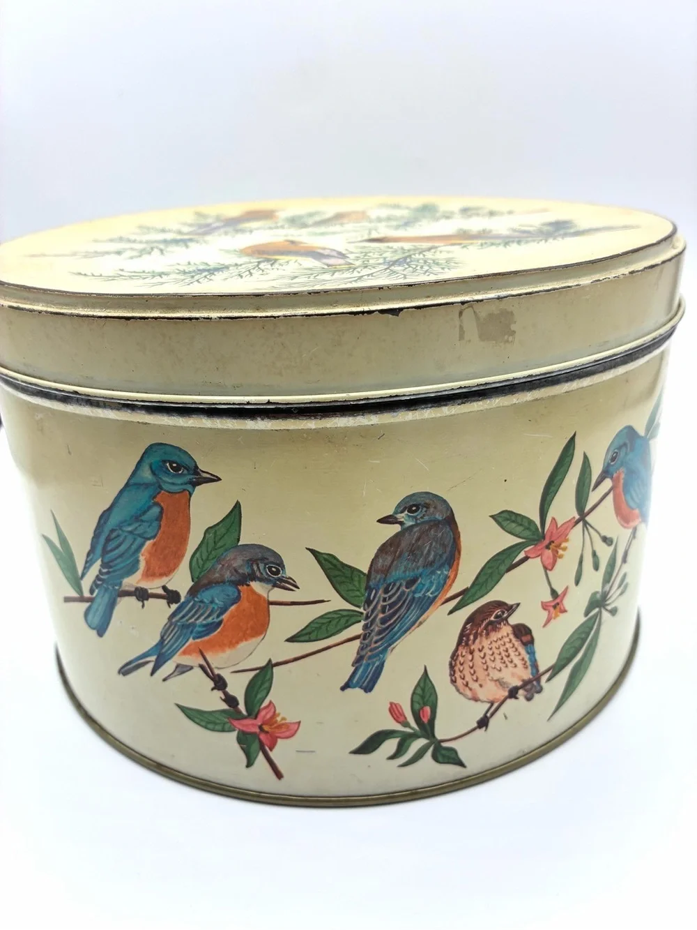 Vintage Tom Sturgis Bird Tin Round Metal Storage Box Cottagecore